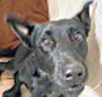 Photo of Jack