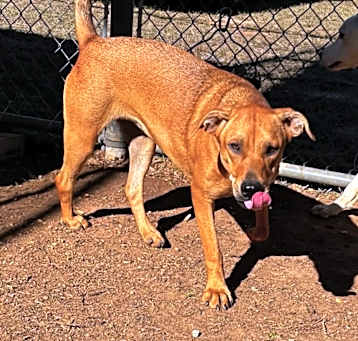 Photo of Wiggles 0445
