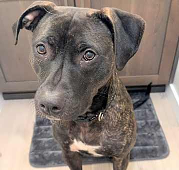 Photo of Annie