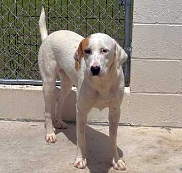 Photo of Bella 1272