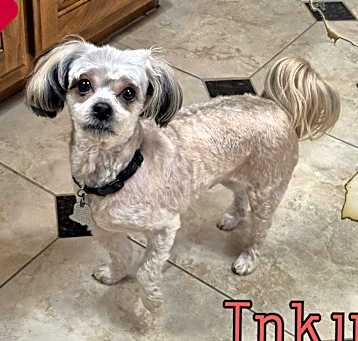 Photo of Inky
