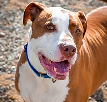 Photo of Duke