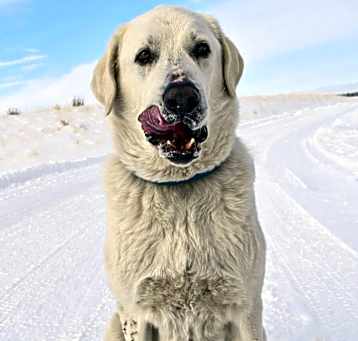 Photo of Teton