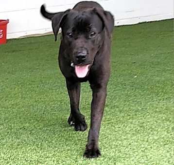 Photo of Lucy