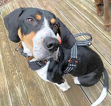 Photo of Arlo
