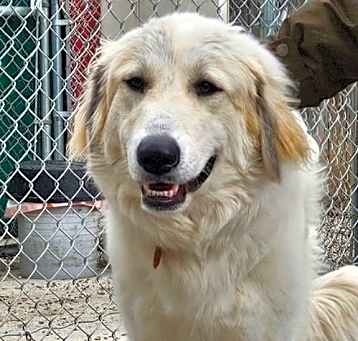 Photo of Nala