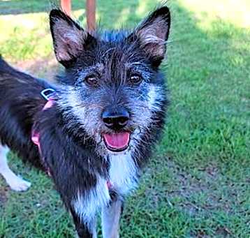 Photo of Lulu