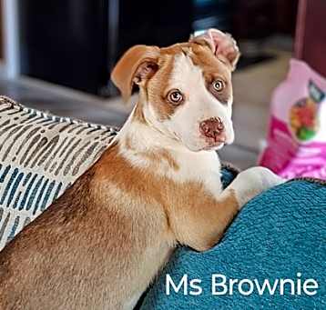Photo of 57843303