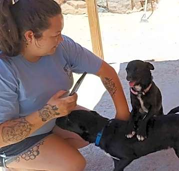 Photo of **MILLY & MARCOS