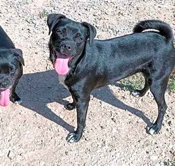 Photo of **MARCOS & MILLY