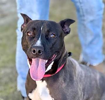 Photo of Wilma A426165