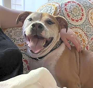 Photo of Mr. Bojangles