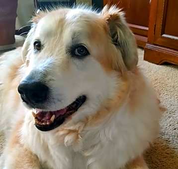 Photo of Zoe