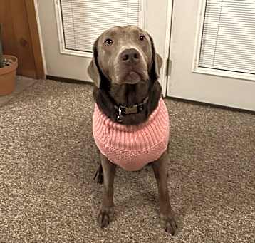 Photo of Sissy