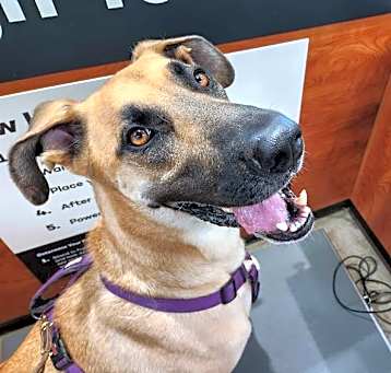 Photo of DUKE