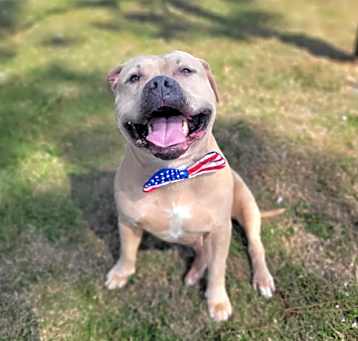 Photo of Jax