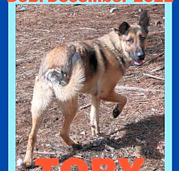 Photo of TOBY