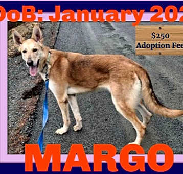 Photo of MARGO - $300