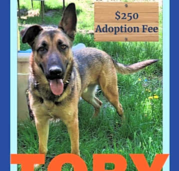 Photo of TOBY