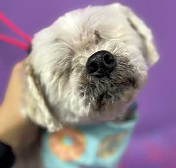 Photo of Charlie