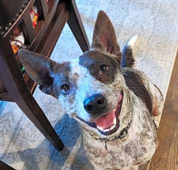 Photo of Della