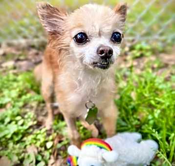 Photo of Lola