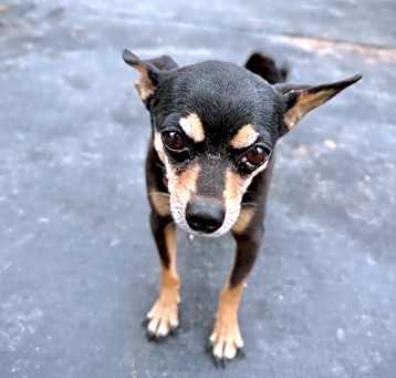 Photo of Benny