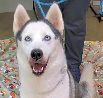 Photo of Sasha