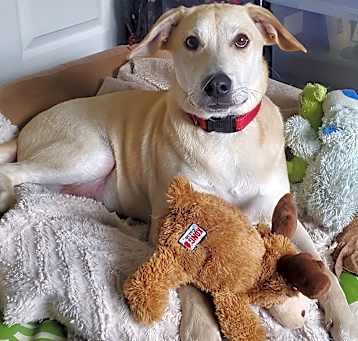 Photo of Chance (Special Needs)