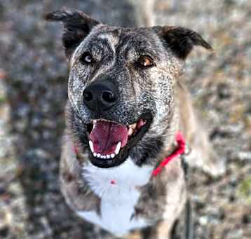 Photo of RADLEY