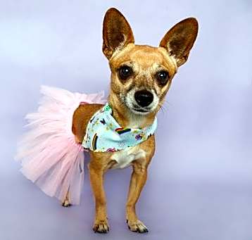 Photo of Lil Girl