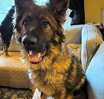 Photo of Pete 6885