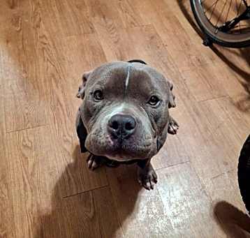 Photo of Kilo