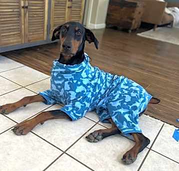 Photo of Ranger