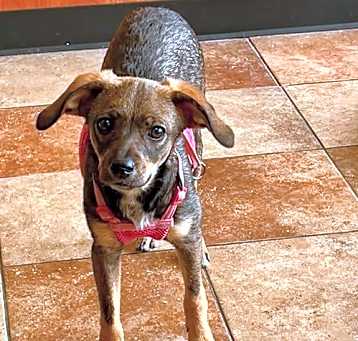 Photo of Addison