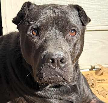 Photo of Hermes