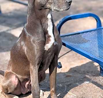 Photo of Raisin