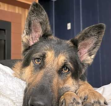 Photo of Fiona
