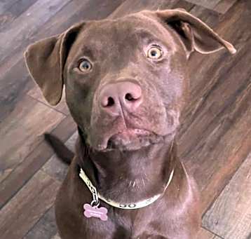 Photo of Turbo