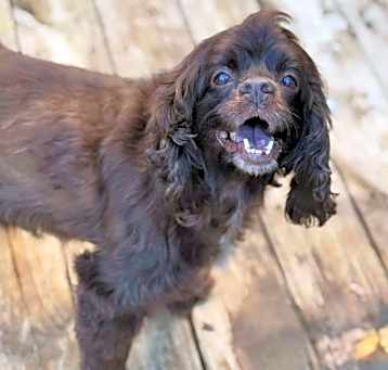 Photo of Chloe