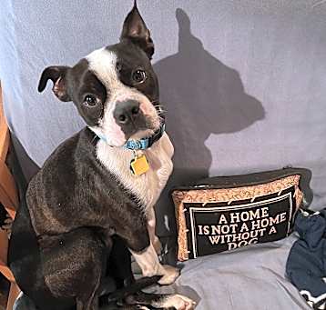 Photo of Charlie