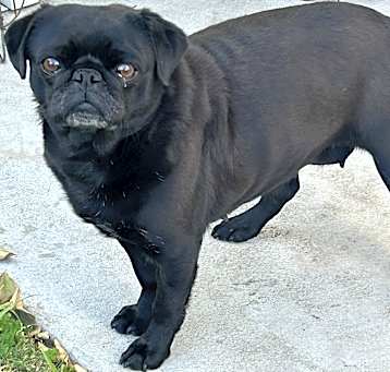 Photo of Lilly