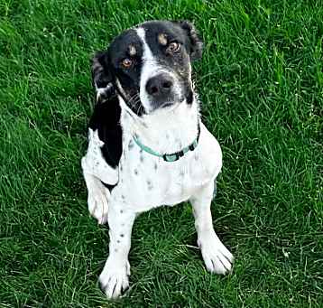 Photo of Burt