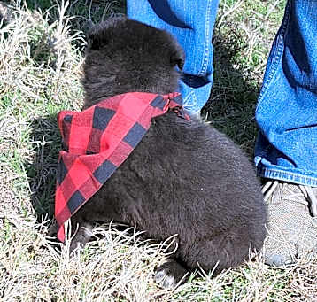 Photo of Jack