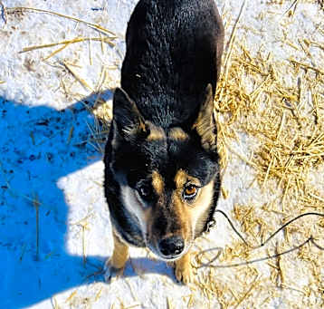 Photo of Hanna