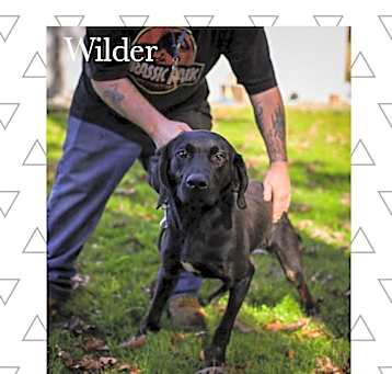 Photo of Wilder