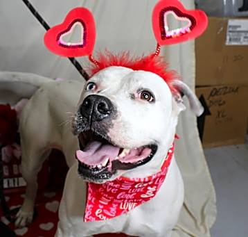 Photo of Beulah