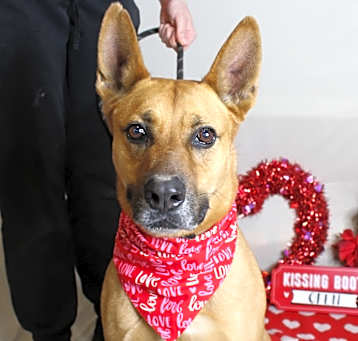 Photo of Chester