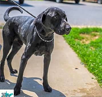 Photo of Spike
