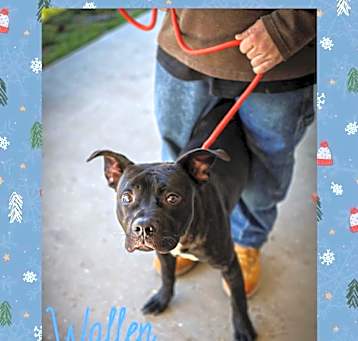 Photo of Wallen